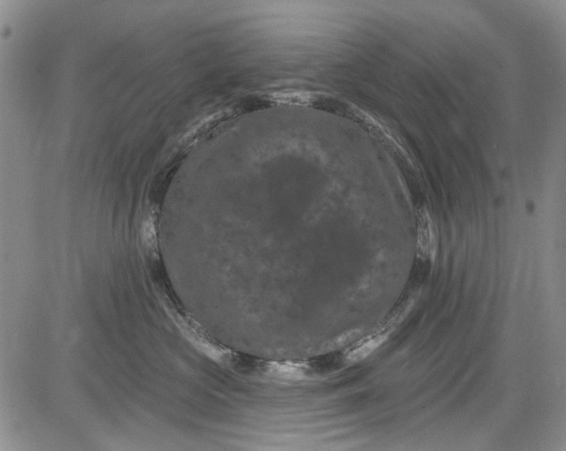 X0000084050573200703022218