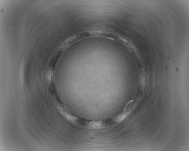 X0000084050574200703022218