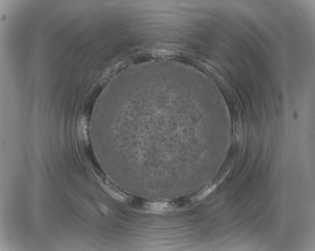 X0000084050575200703022218