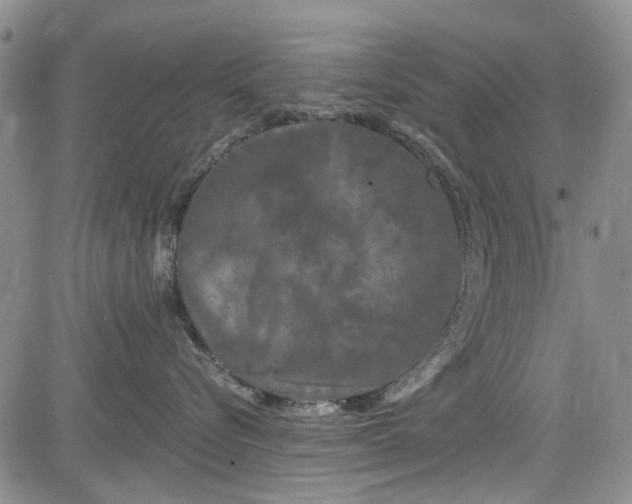 X0000084050576200703022218