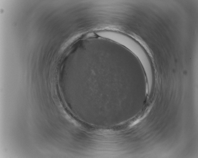 X0000084050577200703022217