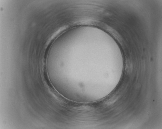 X0000084050578200703022217