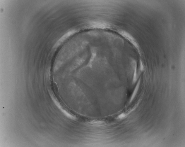 X0000084050581200703022217