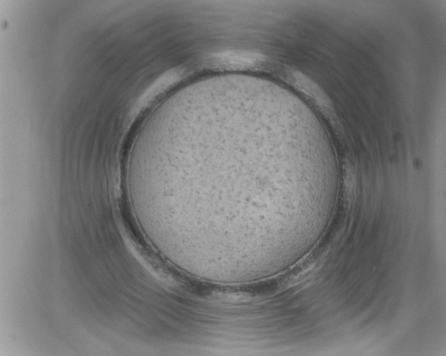 X0000084050582200703022217