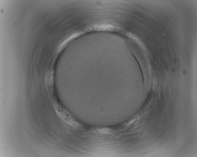 X0000084050583200703022217