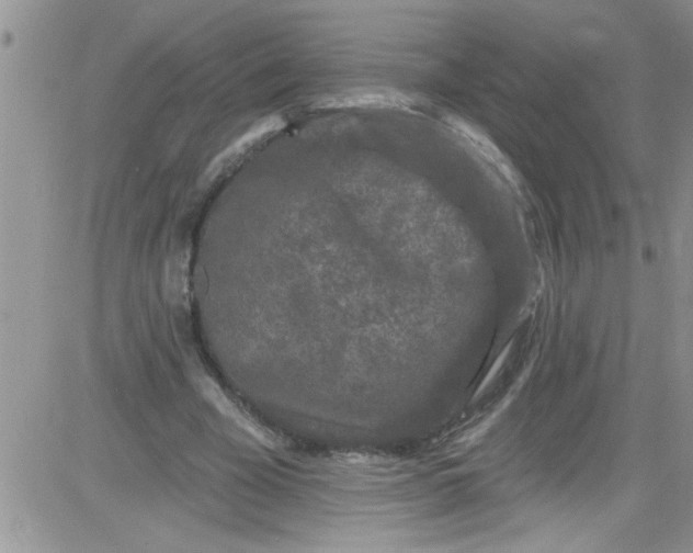 X0000084050585200703022217