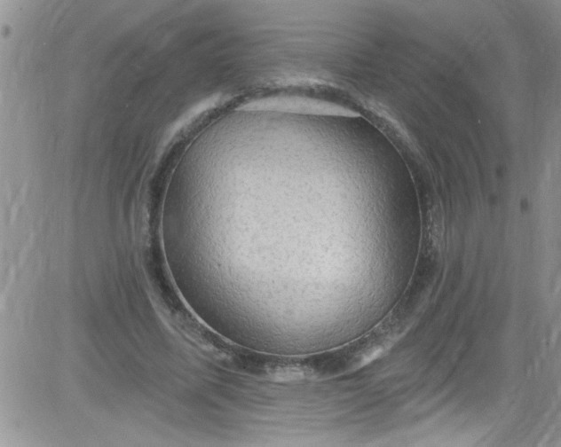 X0000084050587200703022217