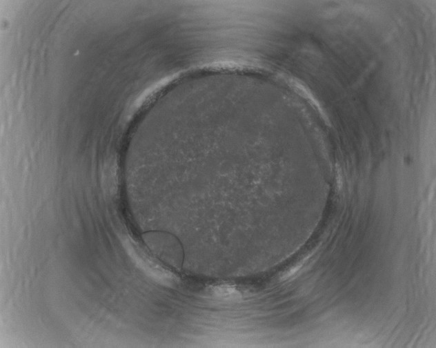 X0000084050588200703022217