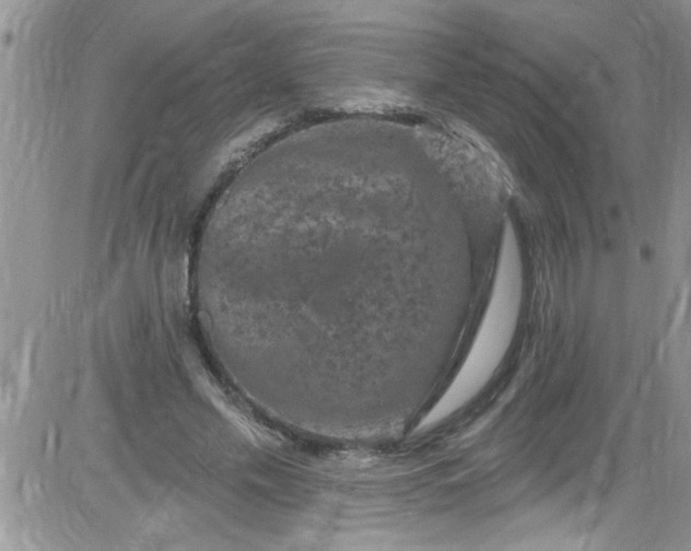 X0000084050589200703022217