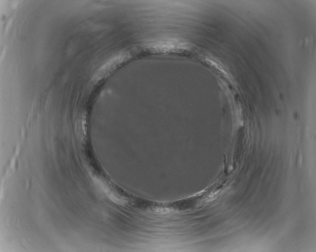 X0000084050590200703022217