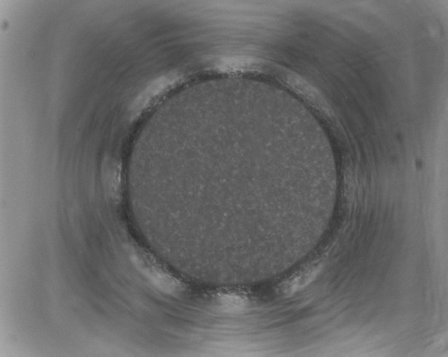 X0000084050592200703022217