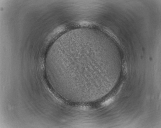 X0000084050593200703022217