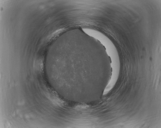 X0000084050595200703022217