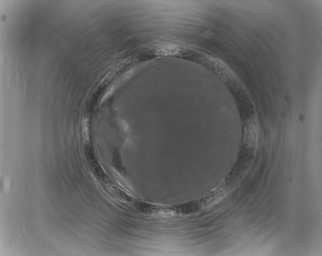 X0000084050598200703022217