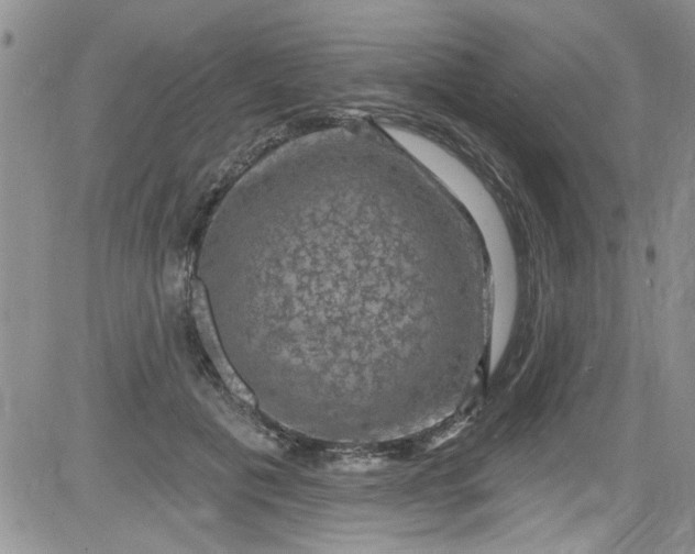 X0000084050601200703022216