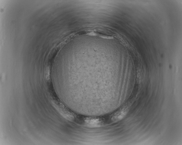 X0000084050602200703022216