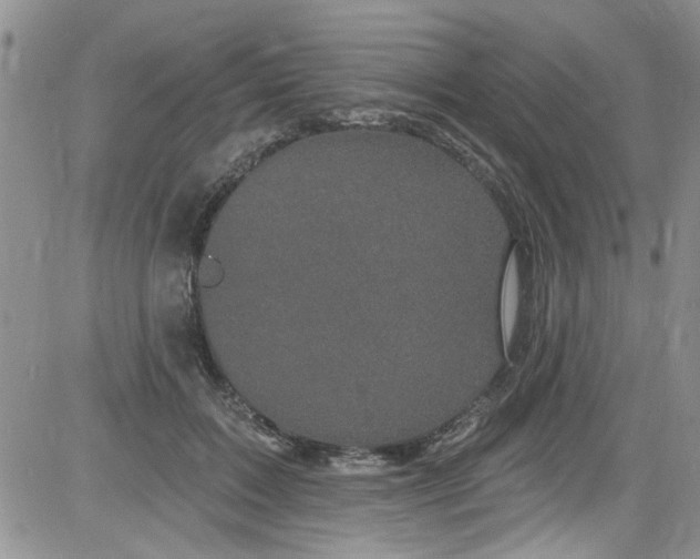 X0000084050603200703022216