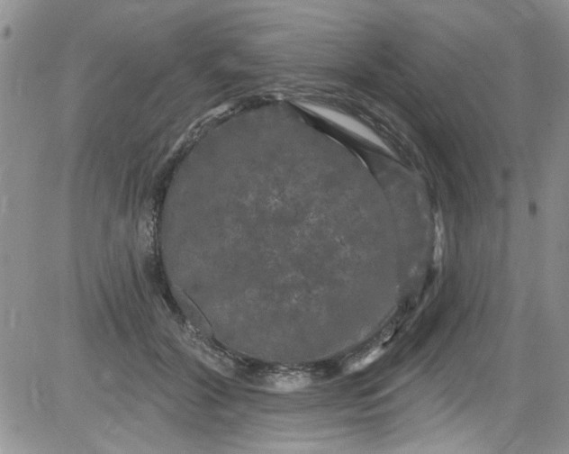 X0000084050604200703022216