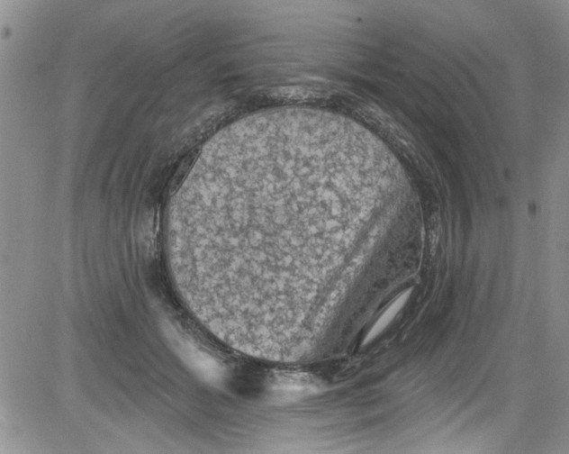 X0000084050605200703022216