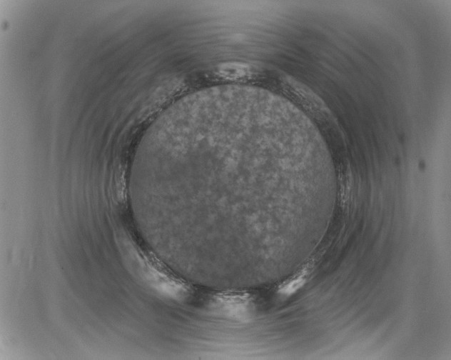 X0000084050606200703022216