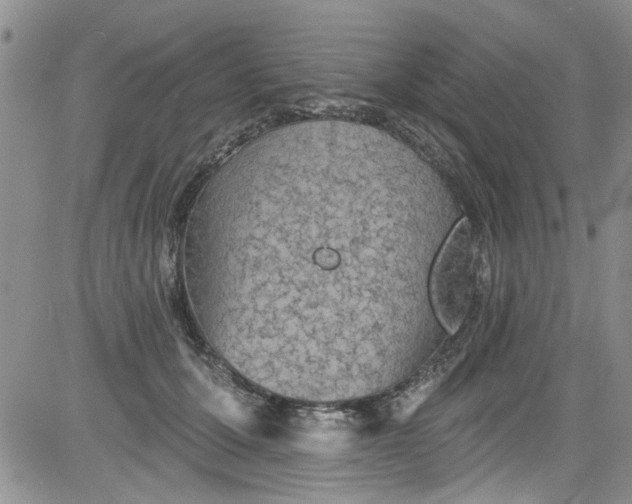 X0000084050607200703022216