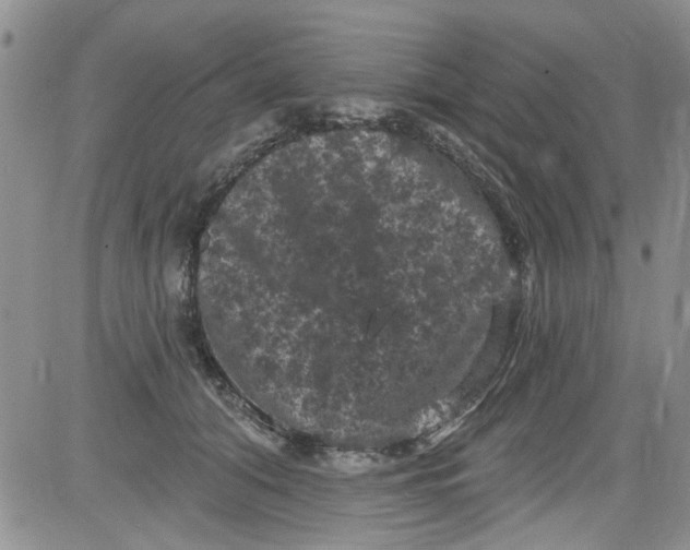 X0000084050608200703022216