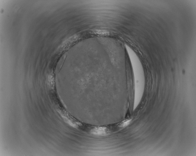 X0000084050609200703022216