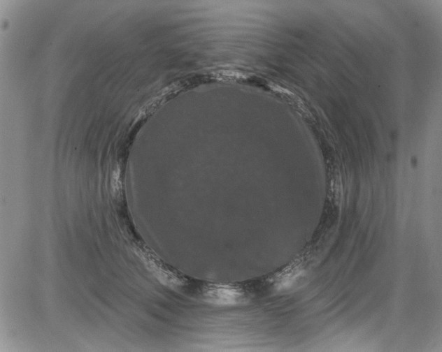 X0000084050610200703022216