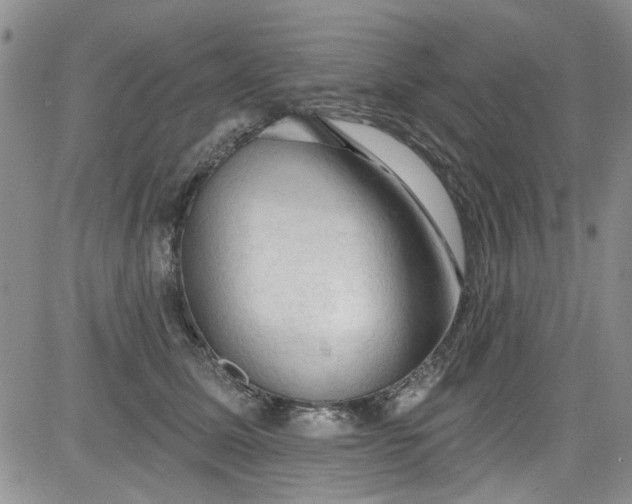 X0000084050611200703022216