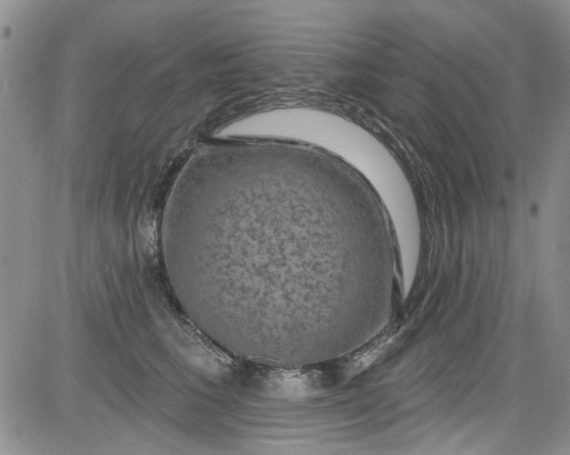 X0000084050613200703022216