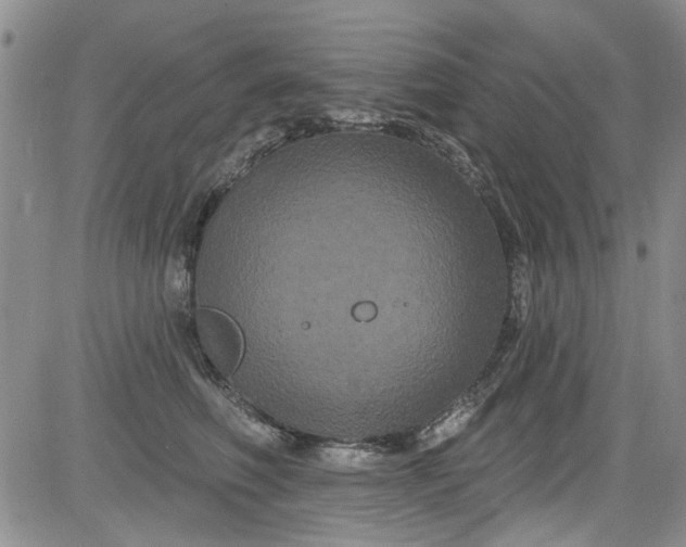 X0000084050614200703022216