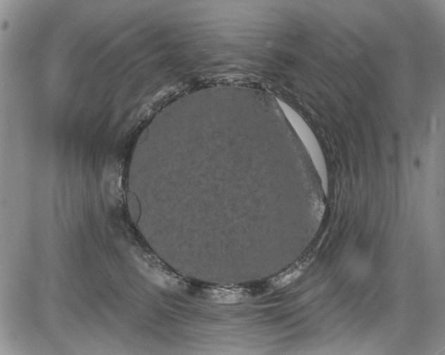 X0000084050615200703022216