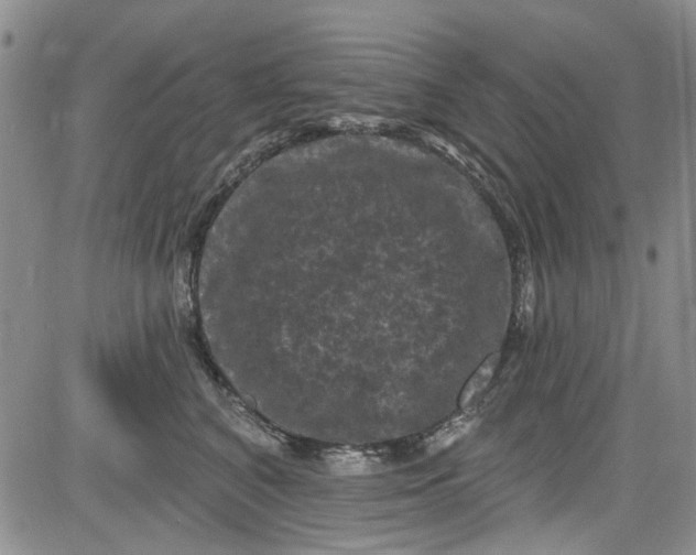 X0000084050616200703022216