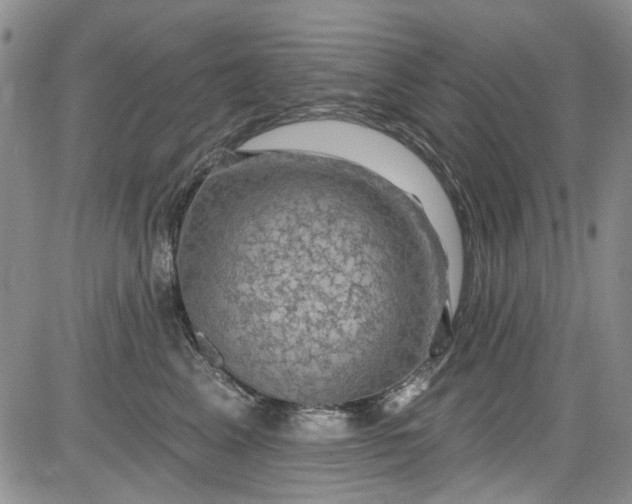 X0000084050617200703022216