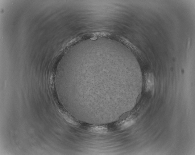 X0000084050619200703022216