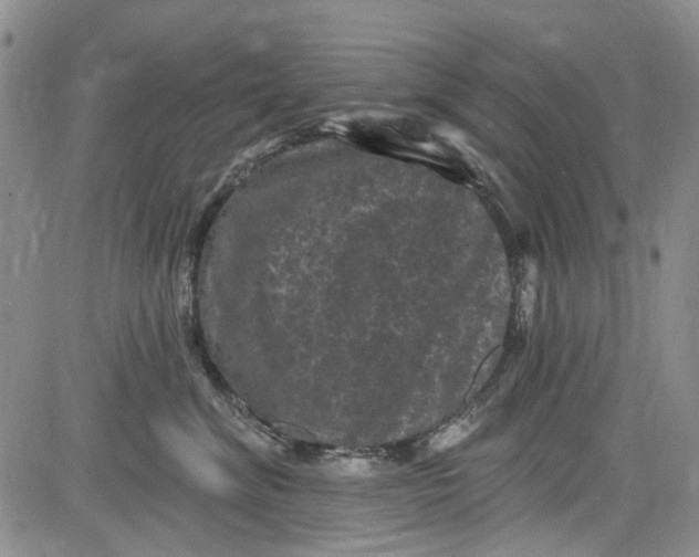 X0000084050620200703022216