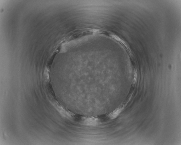 X0000084050621200703022216