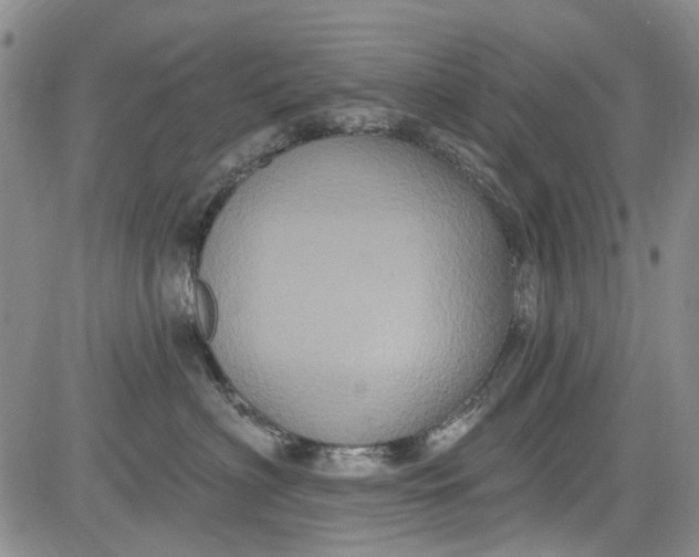 X0000084050622200703022216