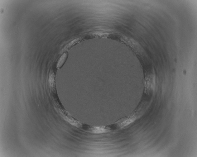 X0000084050623200703022216