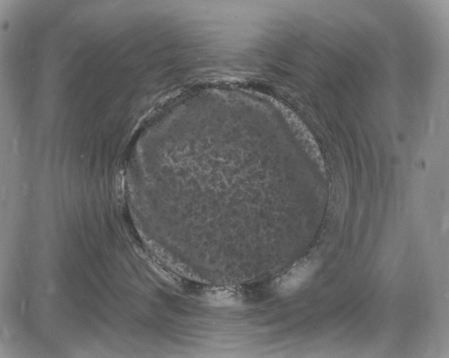 X0000084050624200703022216