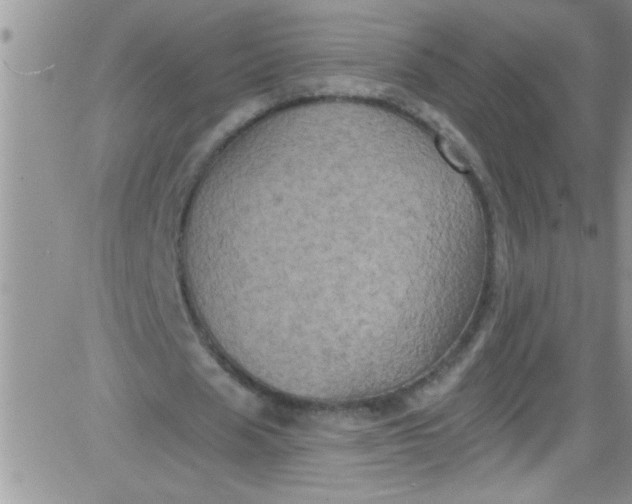 X0000084050625200703022215