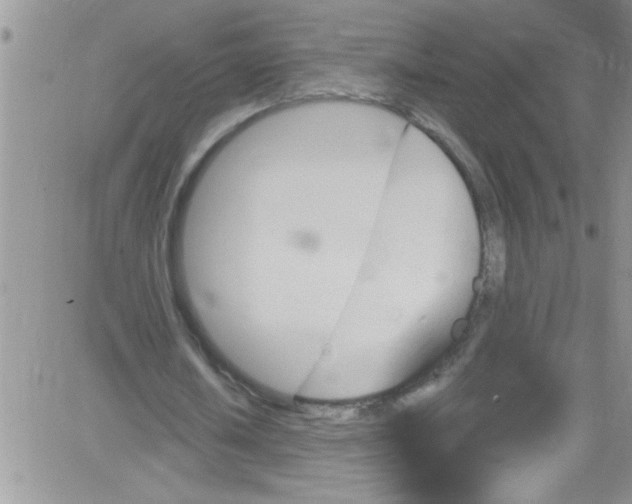 X0000084050626200703022215