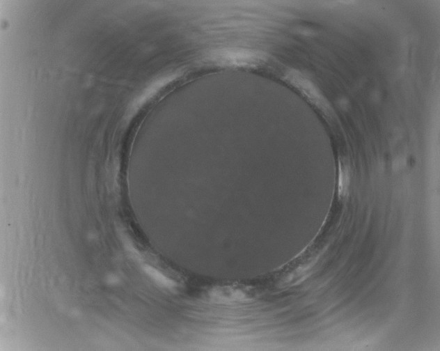 X0000084050627200703022215