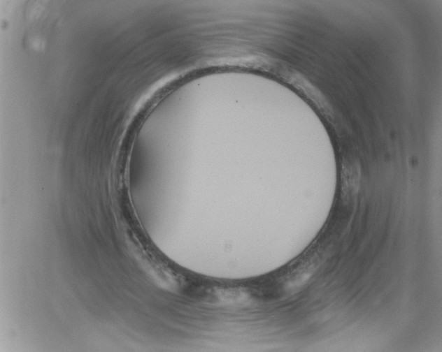 X0000084050628200703022215