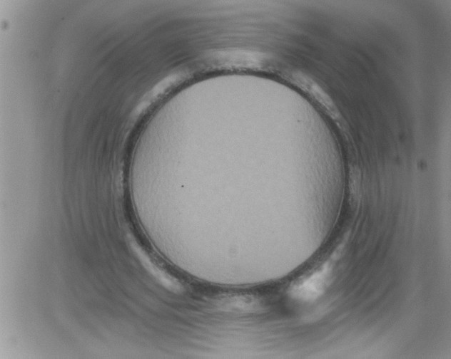 X0000084050629200703022215