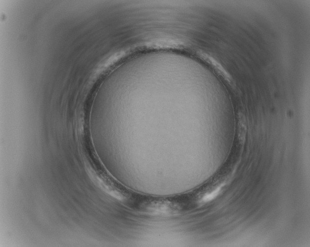 X0000084050631200703022215