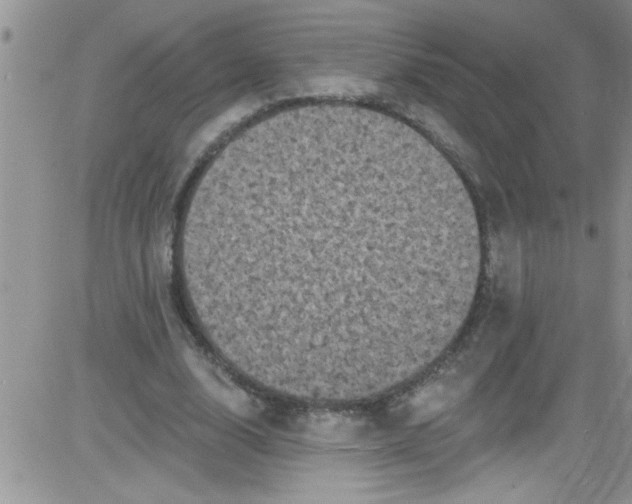 X0000084050632200703022215