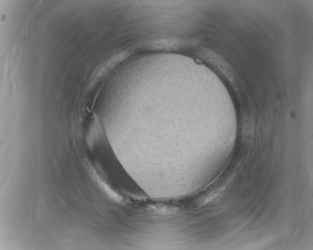 X0000084050633200703022215