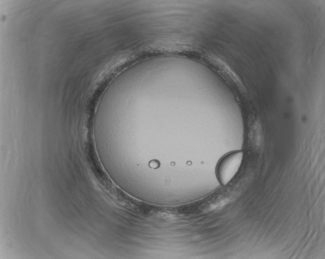 X0000084050635200703022215