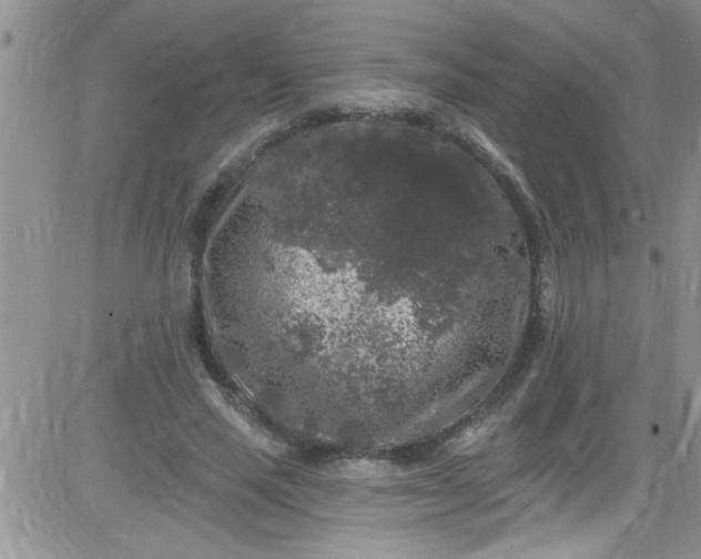 X0000084050637200703022215